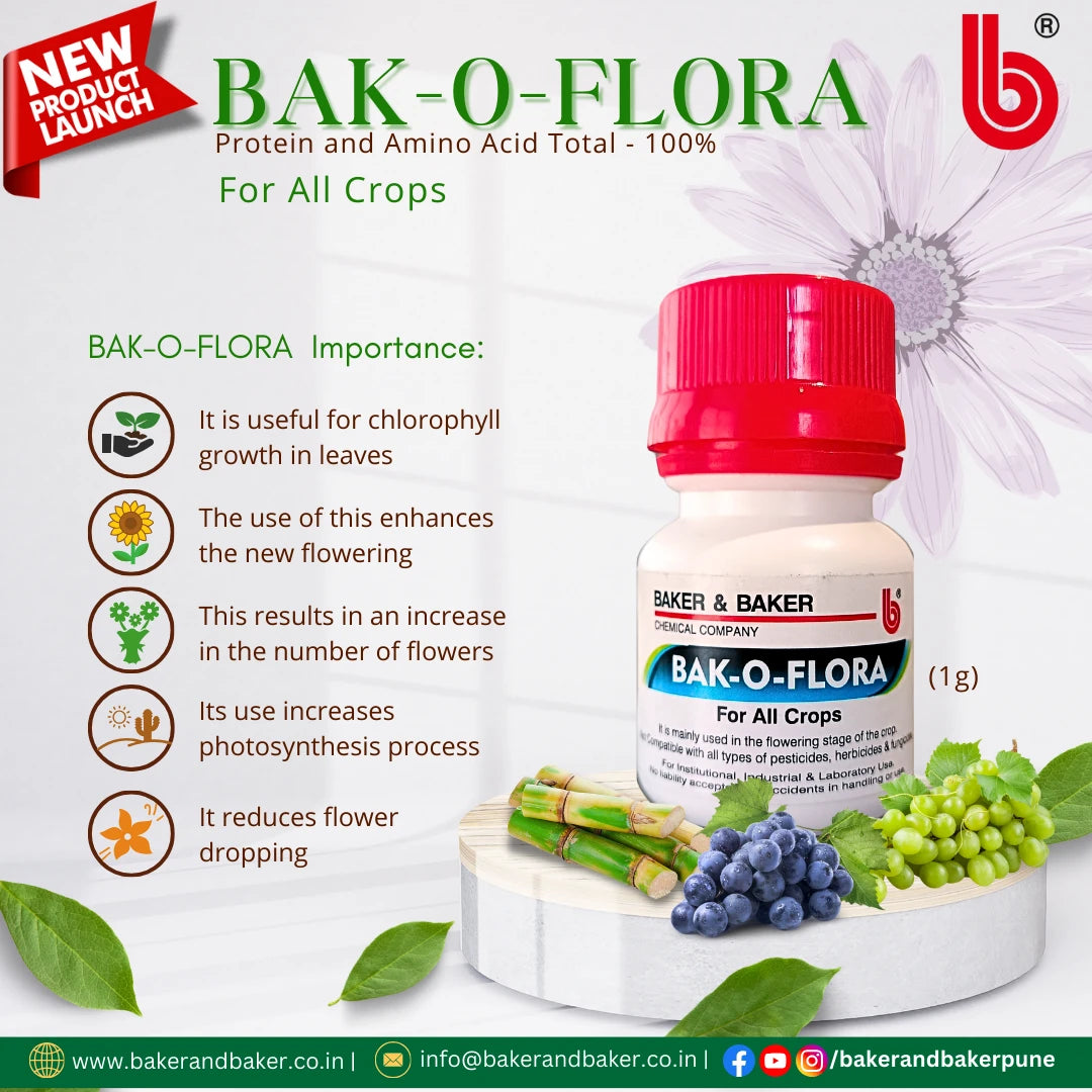 Newly Launched
