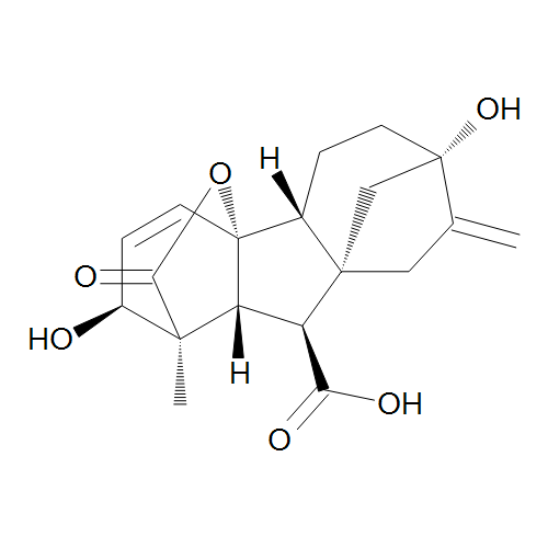 GA 90%